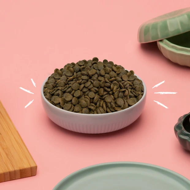 Pawprints makanan kucing tinggi protein dan bernutrisi seimbang